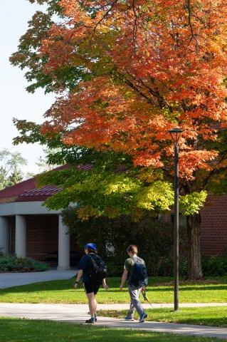 两个学生在秋天走在校园里